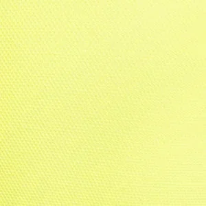 Electric Yellow Mesh